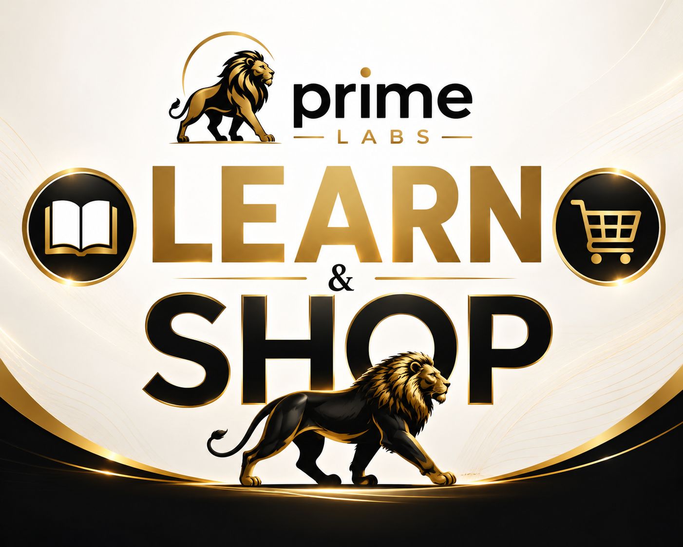 🦁 New Here? Start Here.